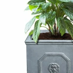 KANTE 12.5" and 10.2"H Square Antique Gray Lightweight Classic English Style Lion Head Planter (Set of 2) Outdoor/Indoor 13 KANTE 12.5" and 10.2"H Square Antique Gray Lightweight Classic English Style Lion Head Planter (Set of 2) Outdoor/Indoor -Green Haven Store antique gray kante plant pots rf0172ab c80451 44 1000