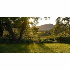 Vigoro Westbrook 36 in. x 48 in. Black Steel Fence Panel -Green Haven Store black vigoro garden fencing 860329 fa 1000