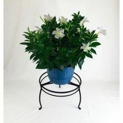 Vigoro 8 in. Black Metal Indoor Plant Stand -Green Haven Store black vigoro plant stands 51470 c3 1000
