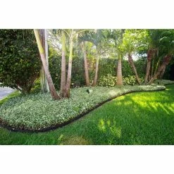 Vigoro EcoBorder 4 ft. Black Rubber Landscape Edging (Single) 17 Vigoro EcoBorder 4 ft. Black Rubber Landscape Edging (Single) -Green Haven Store black vigoro rubber edging ecobrd blk 4 ft 76 1000