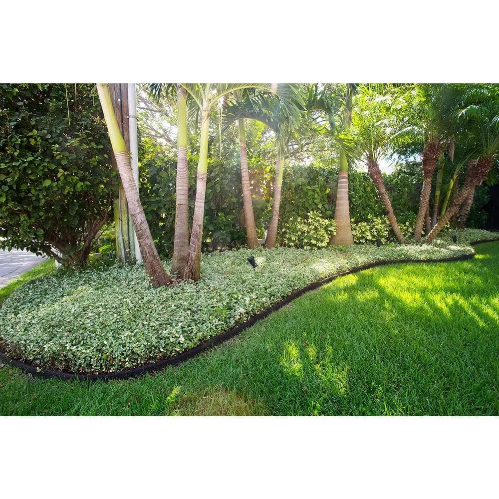 Vigoro EcoBorder 4 ft. Black Rubber Landscape Edging (6-Pack) 10 Vigoro EcoBorder 4 ft. Black Rubber Landscape Edging (6-Pack) - Image 8