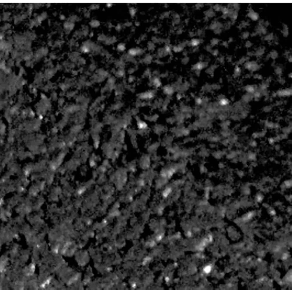 Vigoro EcoBorder 4 ft. Black Rubber Landscape Edging (6-Pack) 9 Vigoro EcoBorder 4 ft. Black Rubber Landscape Edging (6-Pack) - Image 7