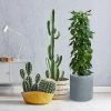 KANTE 12.9 in. W Round Charcoal Concrete/Fiberglass Indoor Outdoor Elegant Planter -Green Haven Store charcoal kante plant pots osc0119b c60121 64 1000