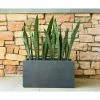 KANTE 23 in. L Rectangular Charcoal Concrete/Fiberglass Indoor Outdoor Elegant Planter -Green Haven Store charcoal kante plant pots osf0104a c60121 64 1000