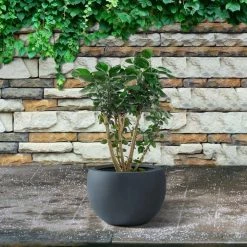 KANTE 8 in. H Charcoal Concrete and Fiberglass Round Bowl Planter, Outdoor Indoor Large Planters Pots with Drainage -Green Haven Store charcoal kante plant pots rc0049a c60121 1f 1000