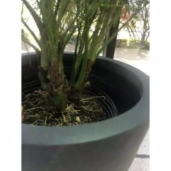 KANTE Medium 10 in. Tall Charcoal Lightweight Concrete Round Outdoor Bowl Planter -Green Haven Store charcoal kante plant pots rc0051c c60121 44 1000