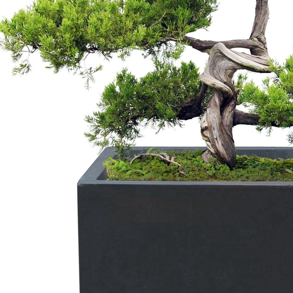 KANTE 19", 16" and 13"H Charcoal Finish Concrete Tall Square Set of 3, Outdoor Indoor Lightweight Planters w/ Drainage Hole 9 KANTE 19", 16" and 13"H Charcoal Finish Concrete Tall Square Set of 3, Outdoor Indoor Lightweight Planters w/ Drainage Hole - Image 7