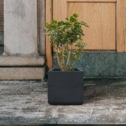 KANTE 11.81 x 11.81 in. Square Charcoal Lightweight Concrete and Weather Resistant Fiberglass Planter w/Drainage Hole -Green Haven Store charcoal kante plant pots rf0221b c60121 44 1000
