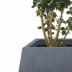 KANTE 21.2 in. and 16.1 in. W Square Charcoal Finish Lightweight Concrete/Fiberglass Planters with Drainage Holes (Set of 2) 11 KANTE 21.2 in. and 16.1 in. W Square Charcoal Finish Lightweight Concrete/Fiberglass Planters with Drainage Holes (Set of 2) -Green Haven Store charcoal kante plant pots rf2015018ab c60121 4f 1000