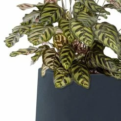 KANTE 10.63 in. x 13.78 in. Round Charcoal Lightweight Concrete and Weather Resistant Fiberglass Planter w/Drainage Hole 14 KANTE 10.63 in. x 13.78 in. Round Charcoal Lightweight Concrete and Weather Resistant Fiberglass Planter w/Drainage Hole -Green Haven Store charcoal kante plant pots rf2015023c c60121 1f 1000