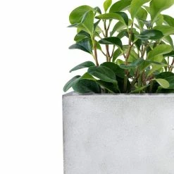 KANTE 31" and 23"L Rectangular Large Concrete Long Box Planters Set of 2, Outdoor/Indoor Strong UV Resistant w/Drainage Holes -Green Haven Store concrete kante plant pots rf0104ab c81921 76 1000