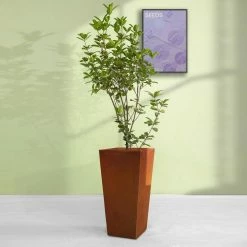 KANTE 24.4 in. H Rectangle Faux Weathering Steel Lightweight Concrete Tapered Tall Planter with Drainage Hole, Outdoor/Indoor -Green Haven Store faux weathering steel kante plant pots rf0004c c91942 76 1000