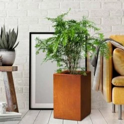 KANTE 16 in. H Faux Weathering Steel Finish Concrete Square, Modern Outdoor/Indoor Lightweight Planter Pot with Drainage Hole 17 KANTE 16 in. H Faux Weathering Steel Finish Concrete Square, Modern Outdoor/Indoor Lightweight Planter Pot with Drainage Hole -Green Haven Store faux weathering steel kante plant pots rf0007b c91942 76 1000