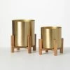 SULLIVANS Brass Planter On Stands - Set of 2 2 SULLIVANS Brass Planter On Stands - Set of 2 -Green Haven Store gold sullivans plant pots n2715 64 1000