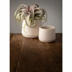 Green Haven Store -Green Haven Store gray sullivans plant pots cm2943 c3 1000