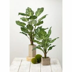 SULLIVANS Gray Cement Square Planter 8 SULLIVANS Gray Cement Square Planter -Green Haven Store gray sullivans plant pots cmt1090 4f 1000