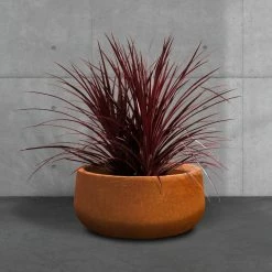 KANTE 16 in. Dia. Round Iron Oxide Concrete Bowl Planter, Outdoor Indoor Large Planter Pot with Drainage Hole -Green Haven Store iron oxide kante plant pots rc0051b c80621 44 1000