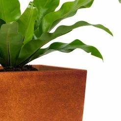 KANTE 28 in. H Iron Oxide Lightweight Concrete Tapered Planter with Drainage Hole, Large Outdoor/Indoor Tall Square Planter 17 KANTE 28 in. H Iron Oxide Lightweight Concrete Tapered Planter with Drainage Hole, Large Outdoor/Indoor Tall Square Planter -Green Haven Store iron oxide kante plant pots rf0229a s c80621 31 1000