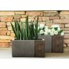 KANTE 31 in and 23 in. L Rectangular Lodgepole Concrete/Fiberglass Indoor Outdoor Elegant Long Planters (Set of 2) 2 KANTE 31 in and 23 in. L Rectangular Lodgepole Concrete/Fiberglass Indoor Outdoor Elegant Long Planters (Set of 2) -Green Haven Store lodgepole kante plant pots osf0219ab c81051 64 1000