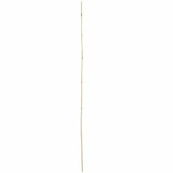 Vigoro 5 ft. Natural Bamboo Stake 14 Vigoro 5 ft. Natural Bamboo Stake -Green Haven Store natural bamboo beige vigoro tomato cages bb5vg 1f 1000