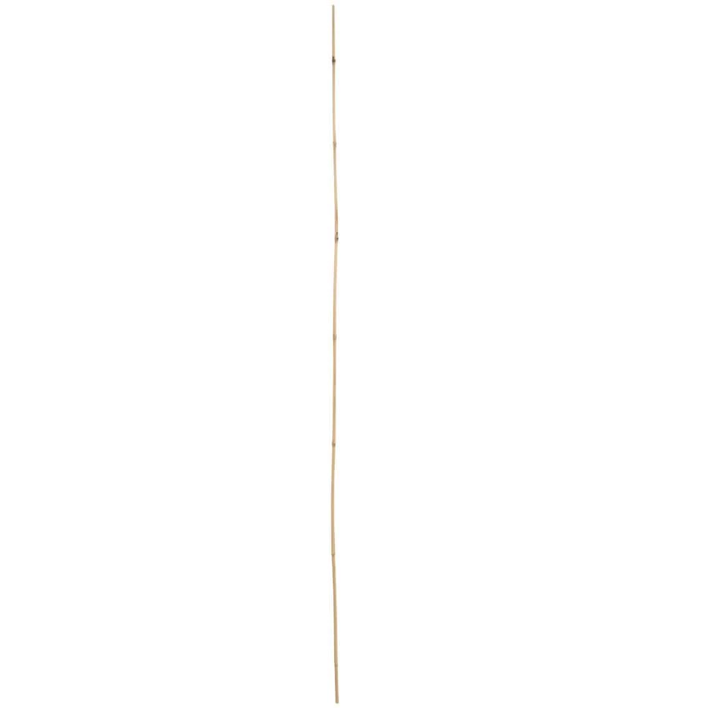 Vigoro 5 ft. Natural Bamboo Stake 7 Vigoro 5 ft. Natural Bamboo Stake - Image 5