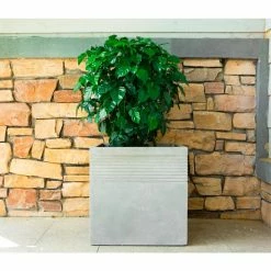 KANTE 15 in. W Square Natural Concrete/Fiberglass Indoor Outdoor Elegant Planter -Green Haven Store natural concrete kante plant pots osf0128b c80021 76 1000