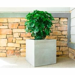 KANTE 15 in. W Square Natural Concrete/Fiberglass Indoor Outdoor Elegant Planter -Green Haven Store natural concrete kante plant pots osf0128b c80021 fa 1000