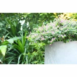 KANTE 17.3 in. Tall Natural Lightweight Concrete Footed Tulip Outdoor Round Planter (Set of 3) -Green Haven Store natural kante plant pots rf2015022bcd c80021 4f 1000