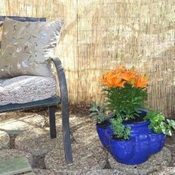 Vigoro 6 ft. H x 16 ft. W Natural Reed Garden Fencing Roll -Green Haven Store natural vigoro garden fencing 0406164 44 1000