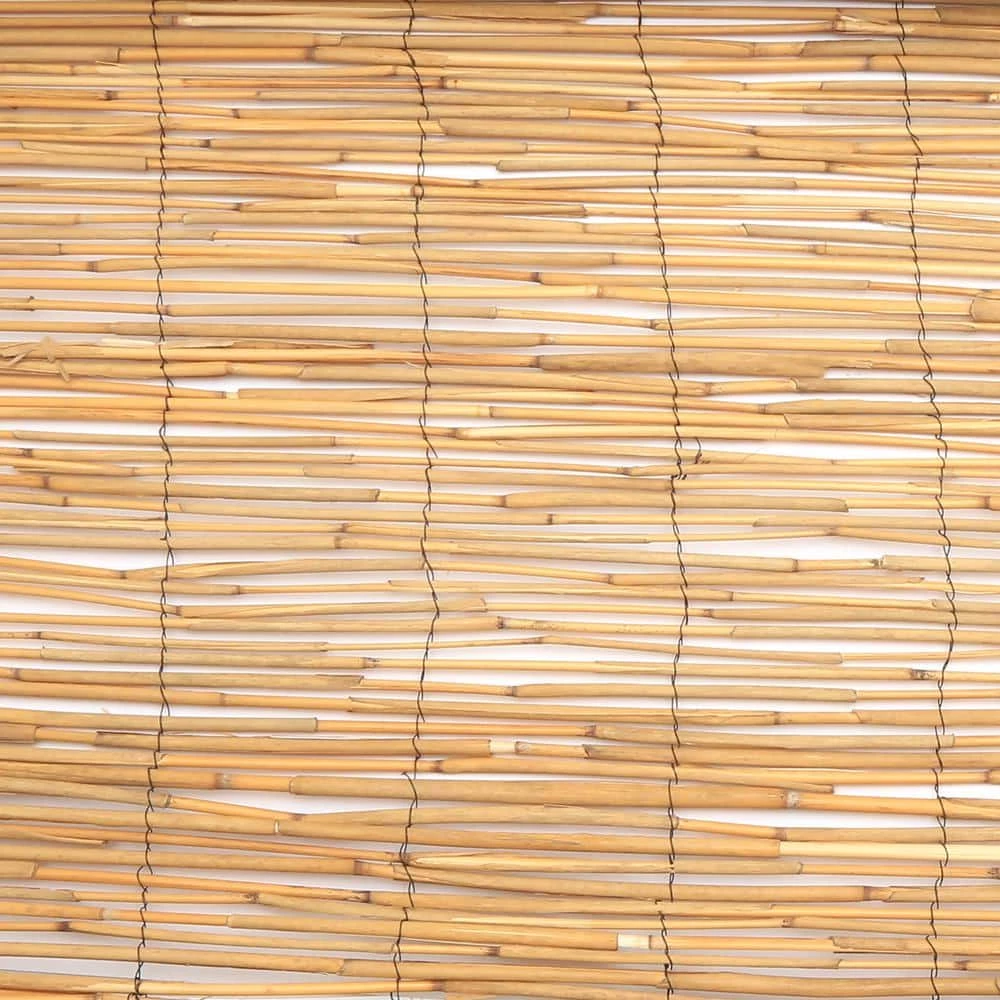 Vigoro 4 ft. H x 8 ft. W Natural Peeled and Polished Reed Fencing 5 Vigoro 4 ft. H x 8 ft. W Natural Peeled and Polished Reed Fencing - Image 3