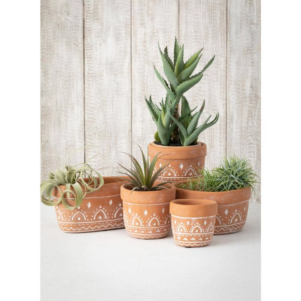 SULLIVANS Orange Cement Dish Garden Pot (Set of 2) 4 SULLIVANS Orange Cement Dish Garden Pot (Set of 2) - Image 2
