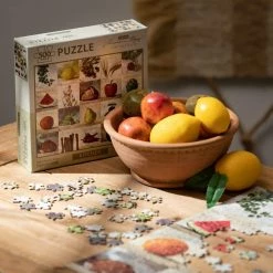 SULLIVANS Adobe Cement Dish Planter - Set of 3 -Green Haven Store orange sullivans plant pots cmt1218 1f 1000