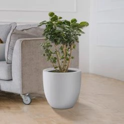 KANTE 13.39 in. x 12.6 in. Round Pure White Lightweight Concrete and Fiberglass Indoor Outdoor Planter with Drainage Hole 13 KANTE 13.39 in. x 12.6 in. Round Pure White Lightweight Concrete and Fiberglass Indoor Outdoor Planter with Drainage Hole -Green Haven Store pure white kante plant pots rc0152b c80011 44 1000