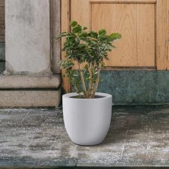 KANTE 13.39 in. x 12.6 in. Round Pure White Lightweight Concrete and Fiberglass Indoor Outdoor Planter with Drainage Hole 14 KANTE 13.39 in. x 12.6 in. Round Pure White Lightweight Concrete and Fiberglass Indoor Outdoor Planter with Drainage Hole -Green Haven Store pure white kante plant pots rc0152b c80011 fa 1000