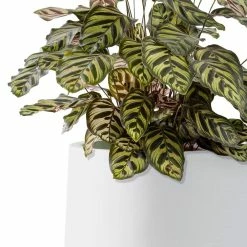 KANTE 17.3 in. H Round Pure White Concrete Planter, Outdoor Indoor Large Planter Pots Containers with Drainage Holes -Green Haven Store pure white kante plant pots rf2015022b c80011 4f 1000