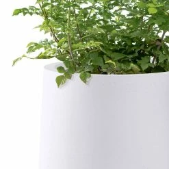 KANTE 13.4 in. H Pure White Tuliped Round Concrete Planter, Outdoor Indoor Large Planter Pots, Containers with Drainage Holes 11 KANTE 13.4 in. H Pure White Tuliped Round Concrete Planter, Outdoor Indoor Large Planter Pots, Containers with Drainage Holes -Green Haven Store pure white kante plant pots rf2015022c c80011 44 1000