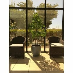 KANTE 10 in. W Round Slate Gray Concrete/Fiberglass Indoor Outdoor Elegant Planter -Green Haven Store slate gray kante plant pots osc0050a c60611 76 1000