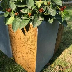 KANTE 31 in. L Rectangular Timber Ridge Concrete/Fiberglass Indoor Outdoor Elegant Long Planter -Green Haven Store timber ridge kante plant pots osf0219b c80811 4f 1000