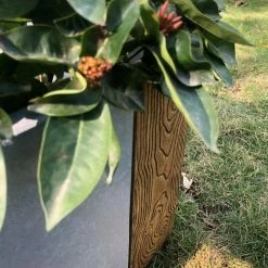 KANTE 31 in. L Rectangular Timber Ridge Concrete/Fiberglass Indoor Outdoor Elegant Long Planter -Green Haven Store timber ridge kante plant pots osf0219b c80811 66 1000