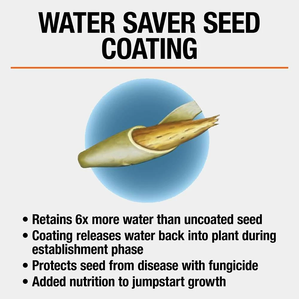 Vigoro 3 lbs. Tall Fescue Grass Seed Blend with Water Saver Seed Coating 7 Vigoro 3 lbs. Tall Fescue Grass Seed Blend with Water Saver Seed Coating - Image 5