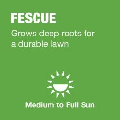 Vigoro 7 lbs. Tall Fescue Grass Seed Blend with Water Saver Seed Coating -Green Haven Store vigoro grass seed 25685 a0 1000