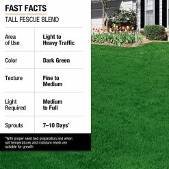 Vigoro 7 lbs. Tall Fescue Grass Seed Blend with Water Saver Seed Coating -Green Haven Store vigoro grass seed 25685 fa 1000
