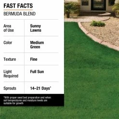 Vigoro 1 lb. Bermuda Grass Seed Blend with Water Saver Seed Coating -Green Haven Store vigoro grass seed 52334 1f 1000