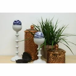 Vigoro 6 in. Grower's Choice Dracaena Indoor Plant in Small White Ribbed Plastic Decor Planter (2-Pack) -Green Haven Store vigoro indoor plants co jc06 3 vi wh c3 1000