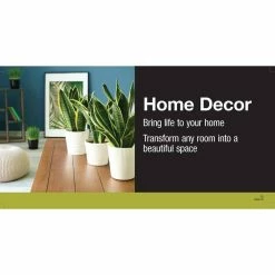 Vigoro 6 in. Neanthebella Palm Indoor Plant in Small White Ribbed Plastic Decor Planter (2-Pack) -Green Haven Store vigoro indoor plants co np07 3 vi wh 40 1000