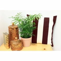 Vigoro 6 in. Neanthebella Palm Indoor Plant in Small White Ribbed Plastic Decor Planter (2-Pack) -Green Haven Store vigoro indoor plants co np07 3 vi wh c3 1000