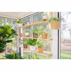 Vigoro 6 in. Golden Pothos Indoor Plant in Small White Ribbed Plastic Decor Planter (2-Pack) -Green Haven Store vigoro indoor plants co poth 3 vi wh 1f 1000