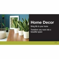 Vigoro 6 in. Grower's Choice Snake Plant (Sansevieria) in Small White Ribbed Plastic Decor Planter (2-Pack) -Green Haven Store vigoro indoor plants co sl07 3 vi wh 40 1000