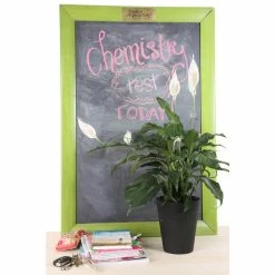 Vigoro 6 in. Peace Lily Indoor Plant in Small White Ribbed Plastic Decor Planter (2-Pack) 15 Vigoro 6 in. Peace Lily Indoor Plant in Small White Ribbed Plastic Decor Planter (2-Pack) -Green Haven Store vigoro indoor plants co sy06 3 vi wh c3 1000