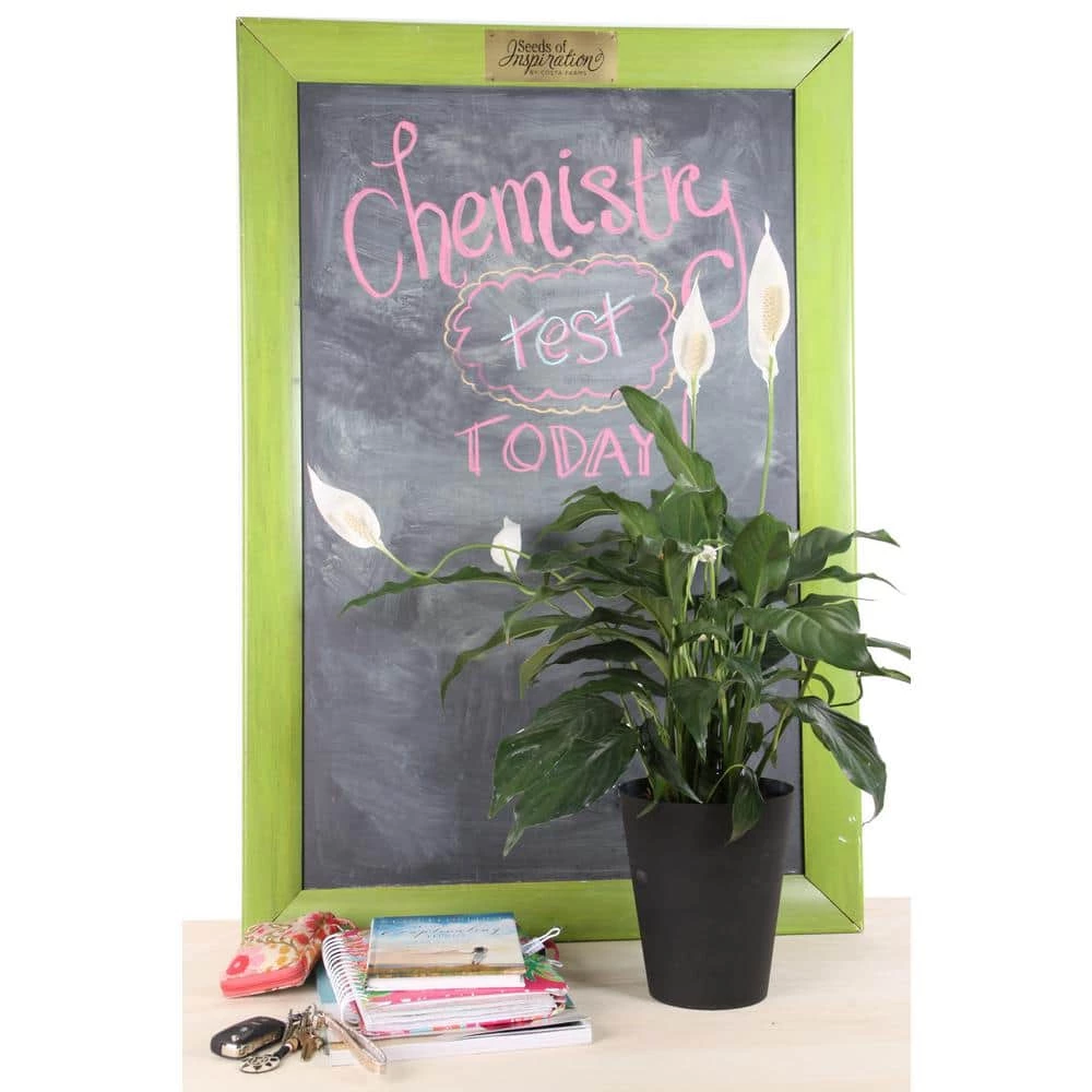 Vigoro 6 in. Peace Lily Indoor Plant in Small White Ribbed Plastic Decor Planter (2-Pack) 7 Vigoro 6 in. Peace Lily Indoor Plant in Small White Ribbed Plastic Decor Planter (2-Pack) - Image 5